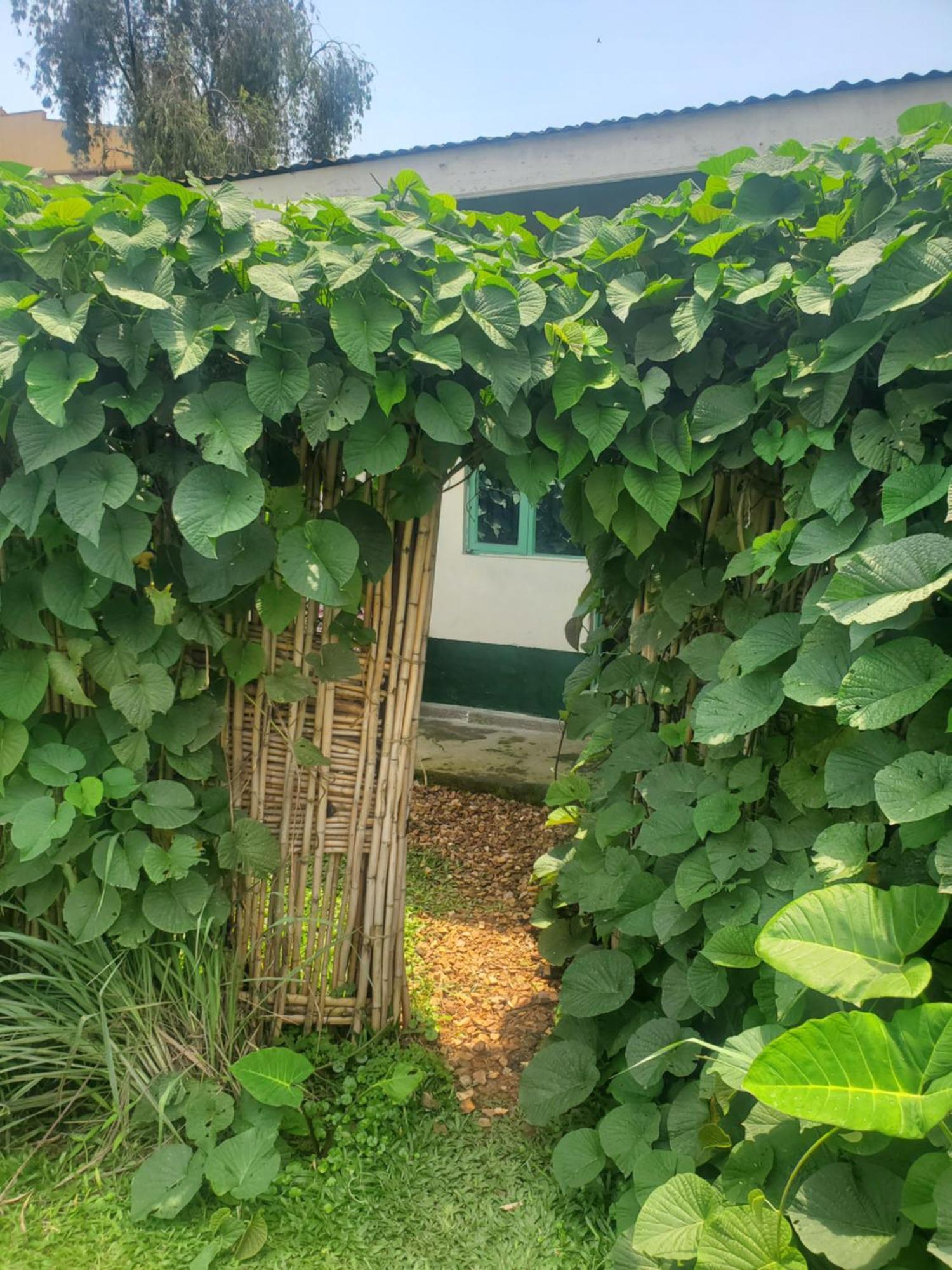 Gaia Eco Hub Bnb Fort Portal Exterior foto